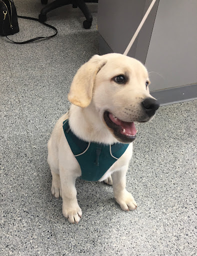 9033 Gaither Rd, Gaithersburg, MD 20877, USA