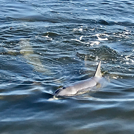 Sporting Goods Store «KAYAKS BY BO INC.», reviews and photos, 410 S Hopkins Ave, Titusville, FL 32796, USA