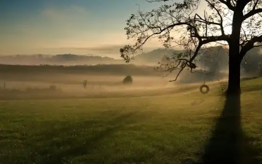 Tire Shop «Discount Tire Center», reviews and photos, 1406 NJ-37, Toms River, NJ 08753, USA