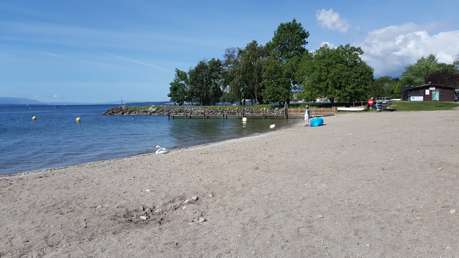 Plage de Rolle'in fotoğrafı düz bir kıyı şeridi ile birlikte