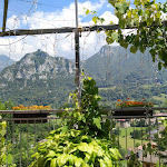 Photo n°5 de l'avis de andrea.r fait le 19/07/2020 à 12:38 sur le  Crotto ai Castagneti à Pasturo