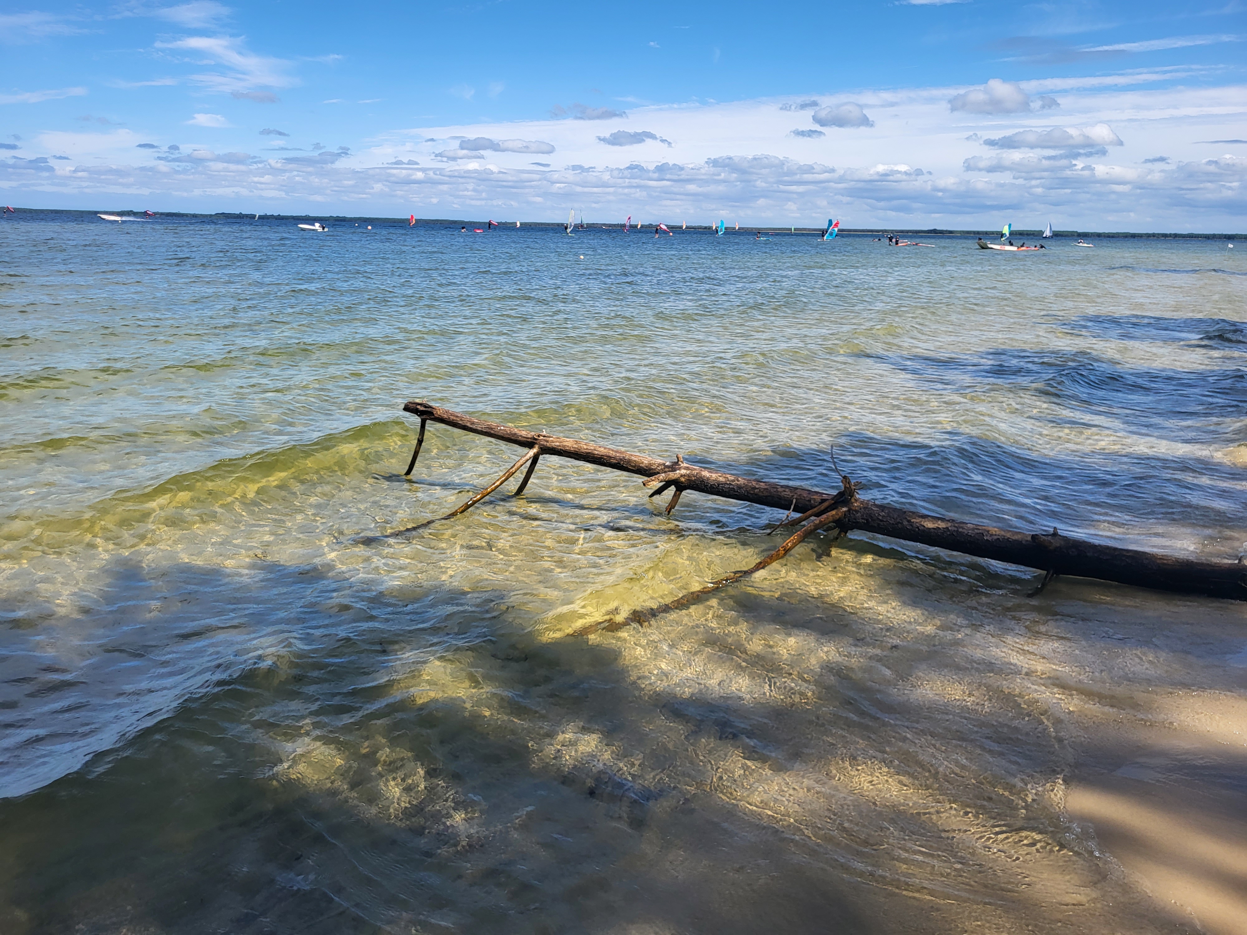 Photo n° 7 de l'avis de Thierry.A fait le 29/08/2023 à 10:01