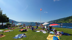 Foto de Seebad Arth Beach com muito limpo nível de limpeza