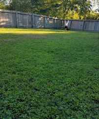 Garcia's Lawn Service