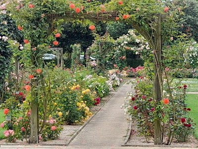 Roseraie Foullon à Doué-la-Fontaine