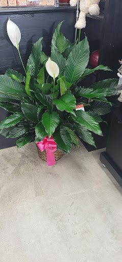 Florist «Lake City Florist», reviews and photos, 796 W Duval St, Lake City, FL 32055, USA