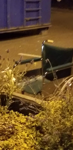 Park «Hammerle Park», reviews and photos, 1505 Lewis St, West Linn, OR 97068, USA