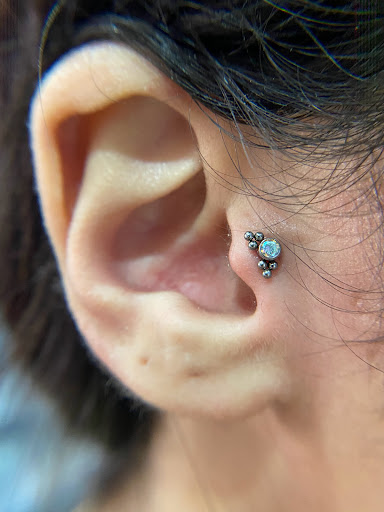 Explore cool half sleeve tattoo ideas, creative tattoo ideas in Orange, available at Symbiosis Body Piercing