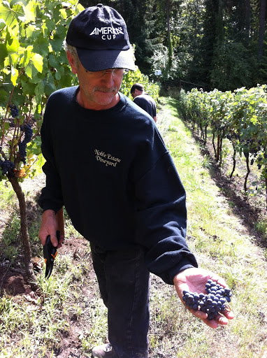 Winery «Noble Estate Vineyard and Winery», reviews and photos, 29210 Gimpl Hill Rd, Eugene, OR 97402, USA