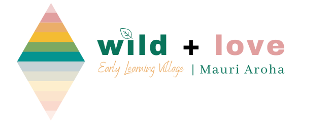 Reviews of Wild and Love Early Learning Village in Pukekohe - Kindergarten