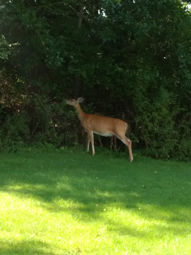 Golf Club «Glen Brook Golf Club», reviews and photos, 1044 Hickory Valley Rd, Stroudsburg, PA 18360, USA