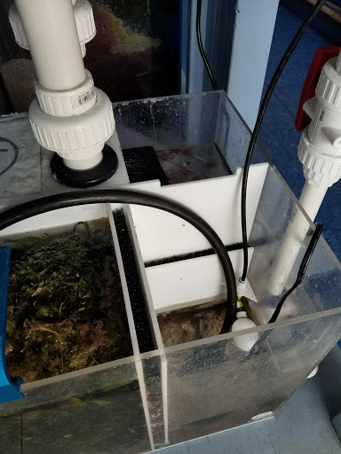 Aquarium Shop «Sea Creature Aquarium», reviews and photos, 1455 Mineral Spring Ave, North Providence, RI 02904, USA