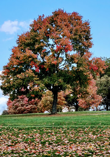 Public Golf Course «North Park Golf Course», reviews and photos, 10200 Kummer Rd, Wexford, PA 15090, USA