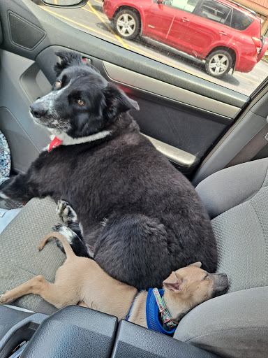 Shopping Mall «Highlands Square Shopping Center», reviews and photos, 250 Highlands Square Dr, Hendersonville, NC 28792, USA