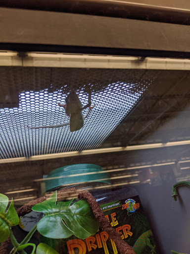 Pet Supply Store «Petco Animal Supplies», reviews and photos, 85 State St, Orem, UT 84058, USA