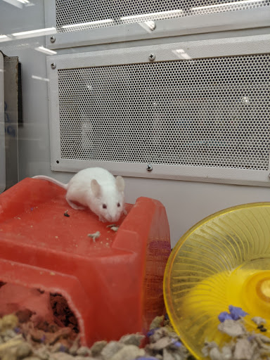 Pet Supply Store «Petco Animal Supplies», reviews and photos, 1090 Fort Union Blvd, Midvale, UT 84047, USA