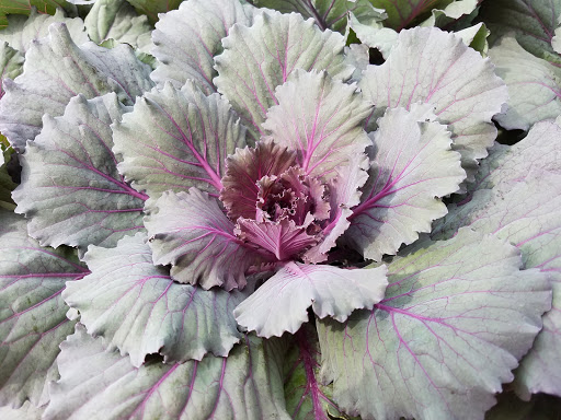 Home Improvement Store «The Home Depot», reviews and photos, 6921 Walton Ln, Gloucester Courthouse, VA 23061, USA