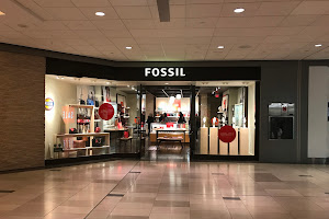 Fossil Store