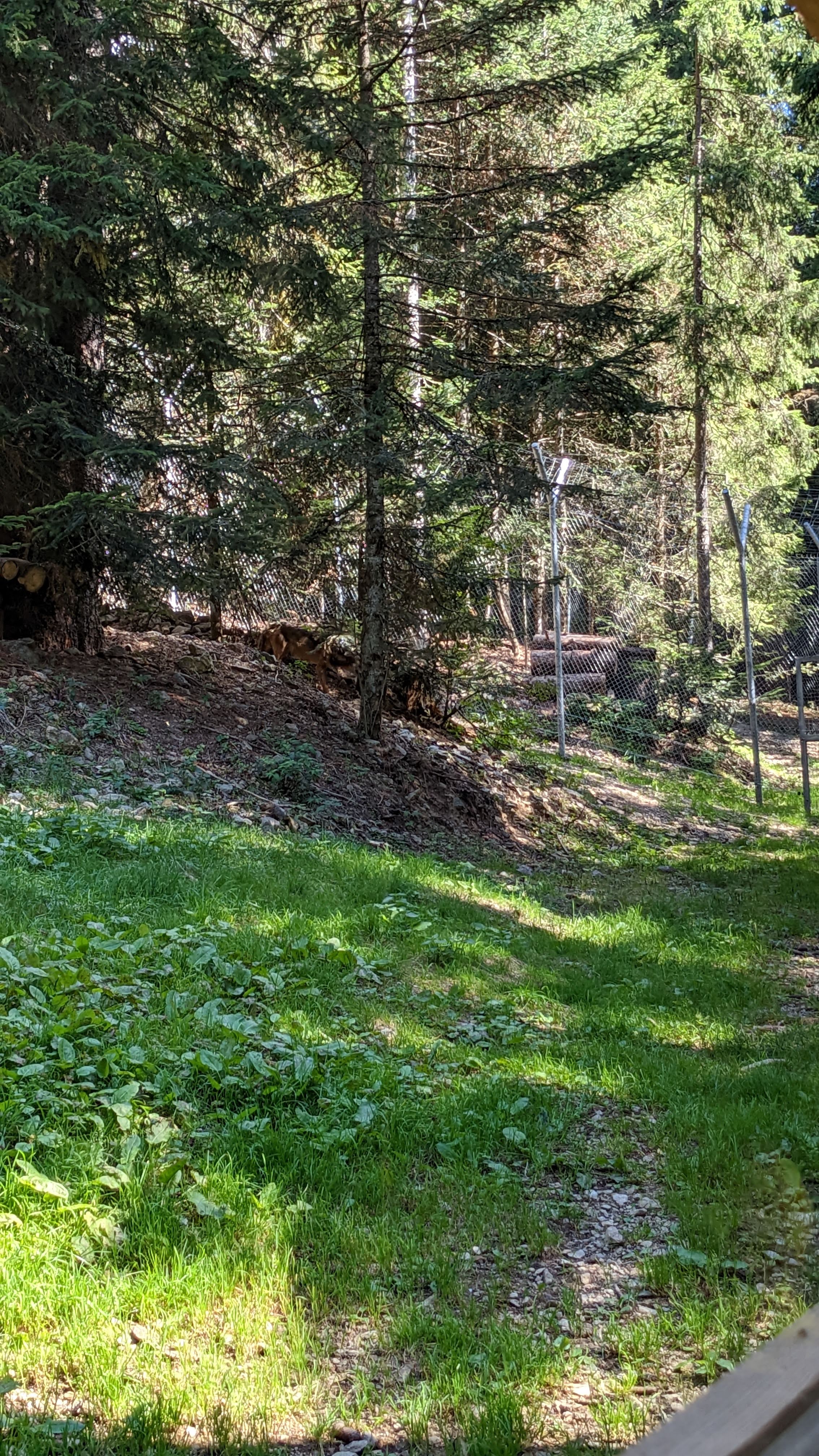 Photo n° 37 de l'avis de Florian.o fait le 11/09/2022 à 15:52