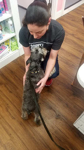 Pet Groomer «Woof Gang Bakery & Grooming Raleigh», reviews and photos, 4421 Six Forks Rd #120, Raleigh, NC 27609, USA