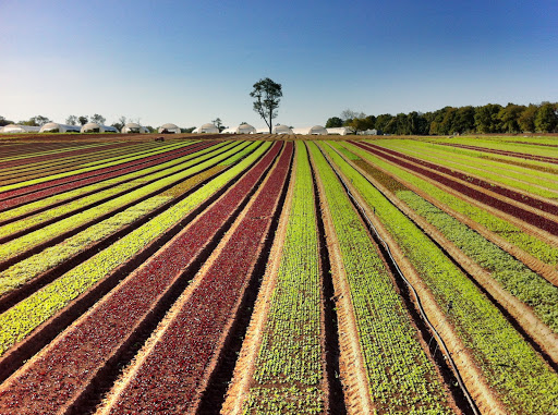 Produce Market «Blue Moon Acres», reviews and photos, 11 Willow Creek Dr, Pennington, NJ 08534, USA