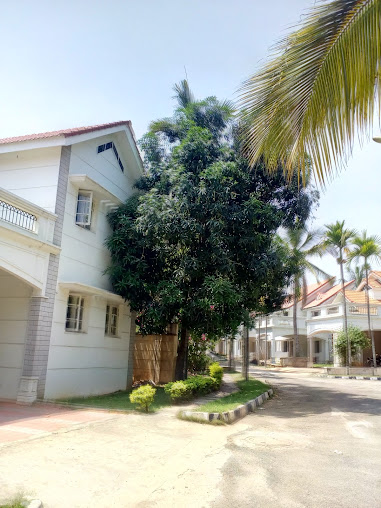 Google Maps image 17