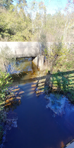 Nature Preserve «Forever Wild Trails», reviews and photos, 384 Narcisse Drive, Dothan, AL 36305, USA