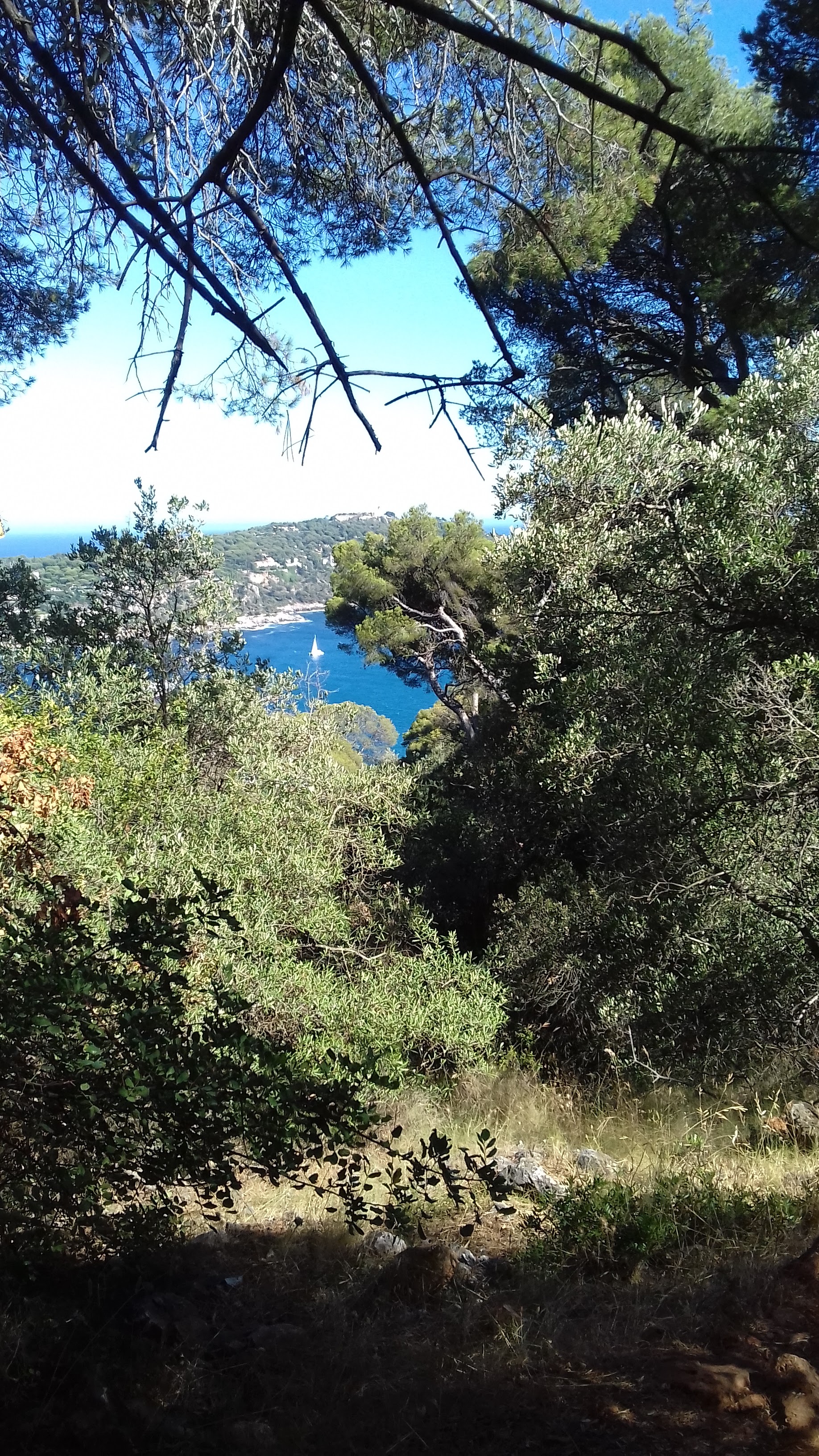 Photo n° 3 de l'avis de roca.a fait le 06/07/2017 à 17:07