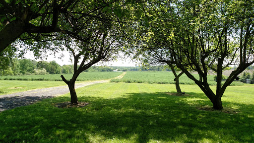 Home Goods Store «Monica Potter Home», reviews and photos, 12724 OH-88, Garrettsville, OH 44231, USA