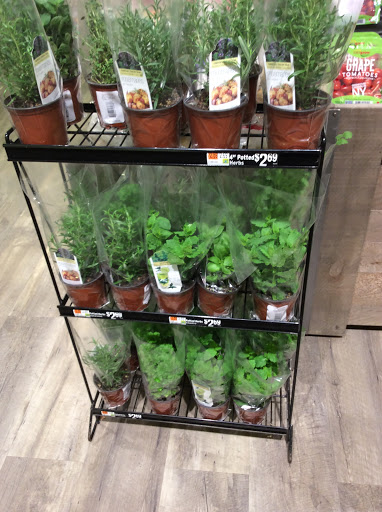 Grocery Store «Hannaford Supermarket», reviews and photos, 99 Main St, Gorham, ME 04038, USA