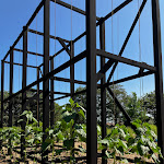 Photo n° 16 de l'avis de sabrina.i fait le 28/07/2023 à 11:36 pour Le Potager Extraordinaire à La Roche-sur-Yon