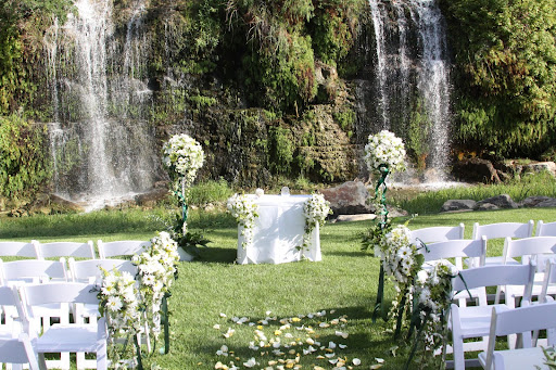 Florist «Spring Garden Flower Shop», reviews and photos, 211 Brooklyn Ave, San Antonio, TX 78215, USA