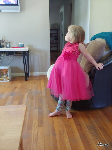 Photo of Pro Building & Electric