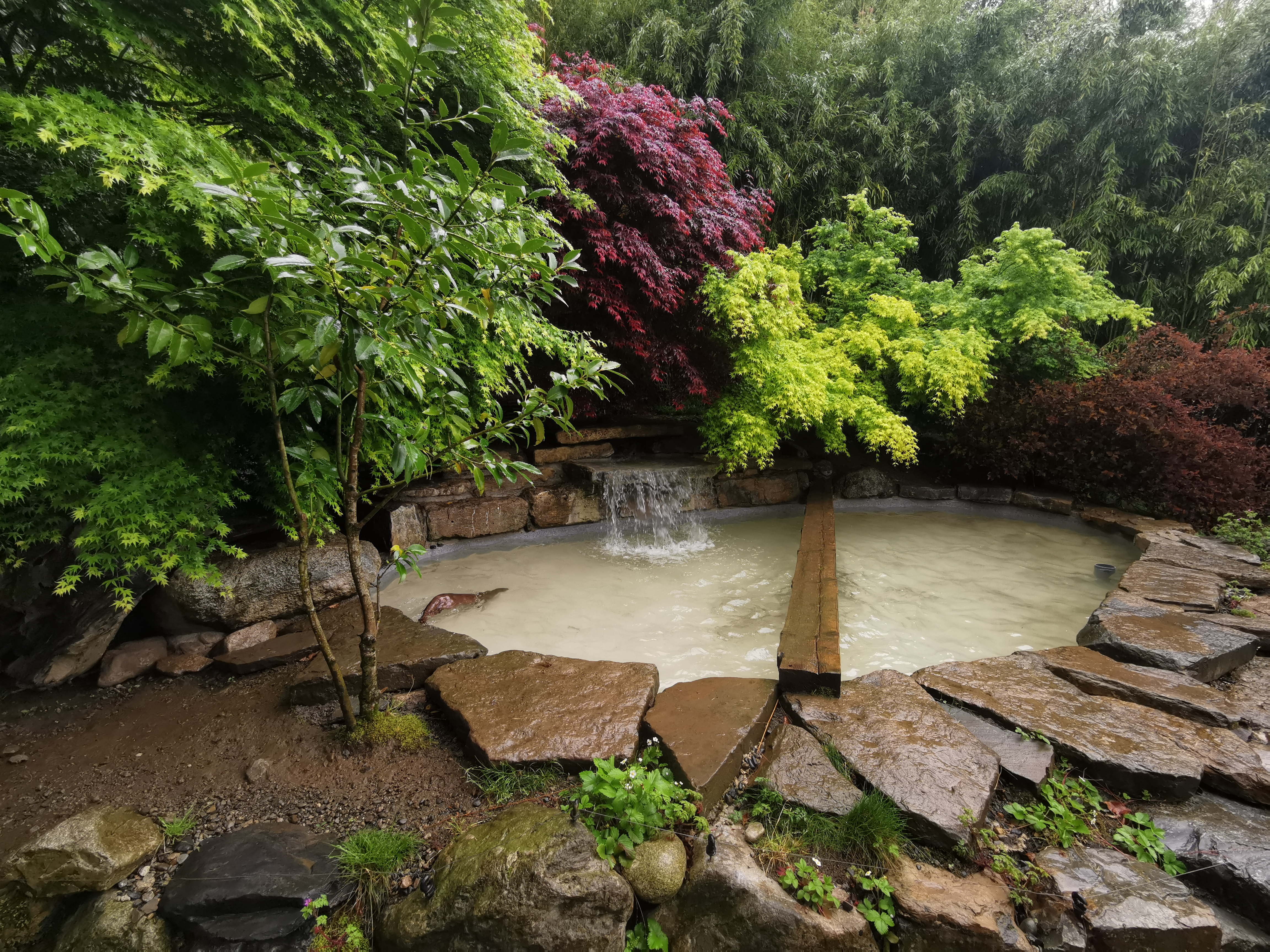 Photo n° 6 de l'avis de Alice-mae.o fait le 25/04/2023 à 14:00