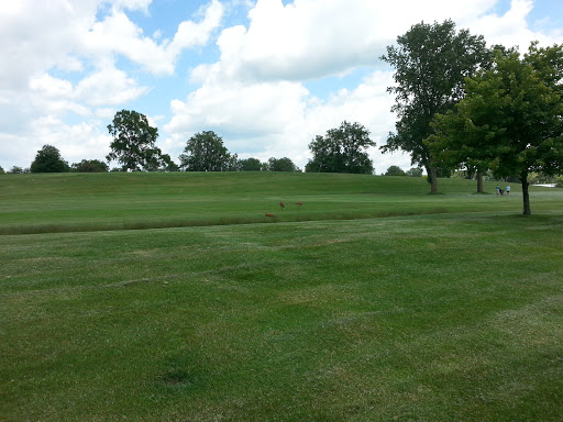 Country Club «Oxford Hills Golf Club», reviews and photos, 300 E Drahner Rd, Oxford, MI 48371, USA