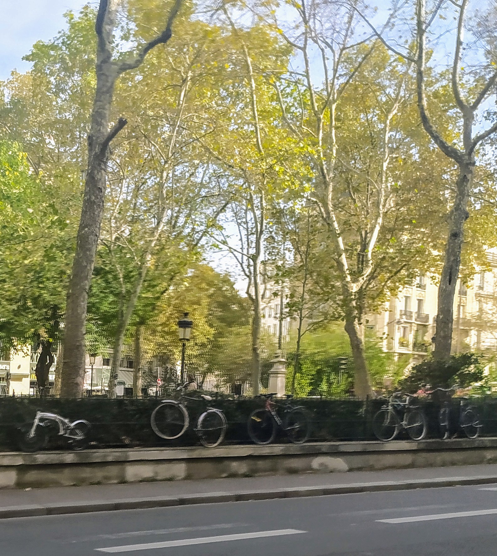 Photo n° 9 de l'avis de Flore.e fait le 16/10/2023 à 14:40