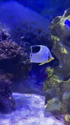 Pet Supply Store «Petco Animal Supplies», reviews and photos, 4491 Kirkwood Hwy, Wilmington, DE 19808, USA