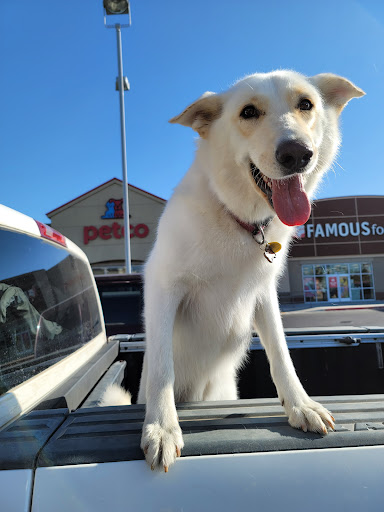 Pet Supply Store «Petco Animal Supplies», reviews and photos, 911 N Stratford Rd c, Moses Lake, WA 98837, USA