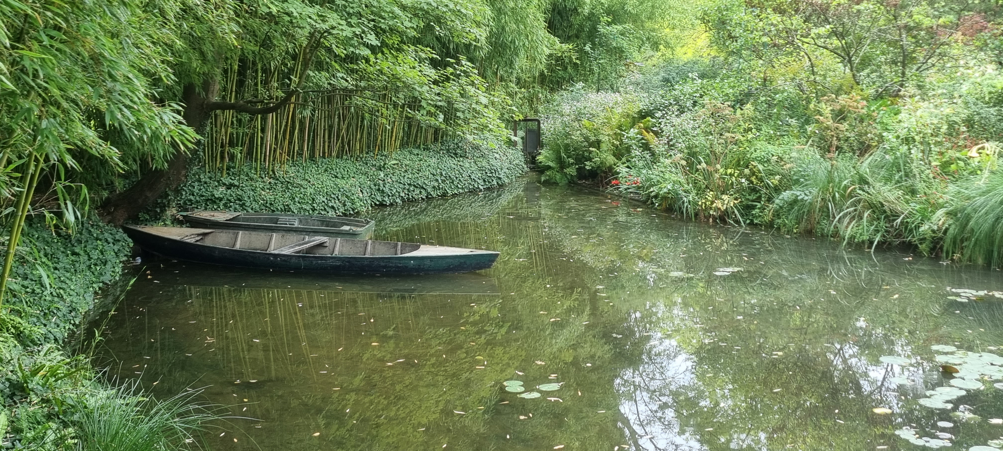 Photo n° 2 de l'avis de Kelly.a fait le 17/09/2023 à 21:00