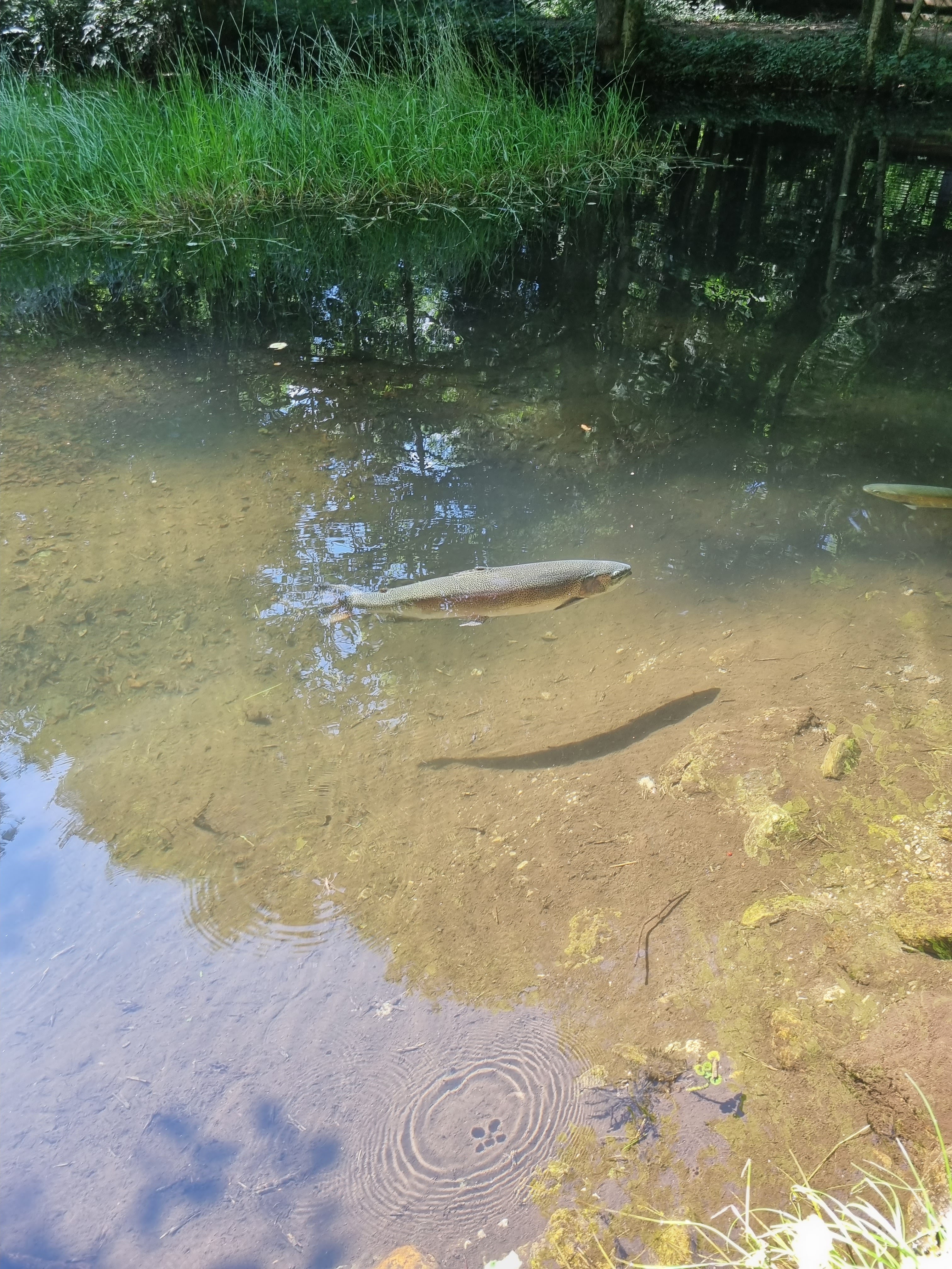 Photo n° 4 de l'avis de p.d fait le 14/07/2023 à 17:06