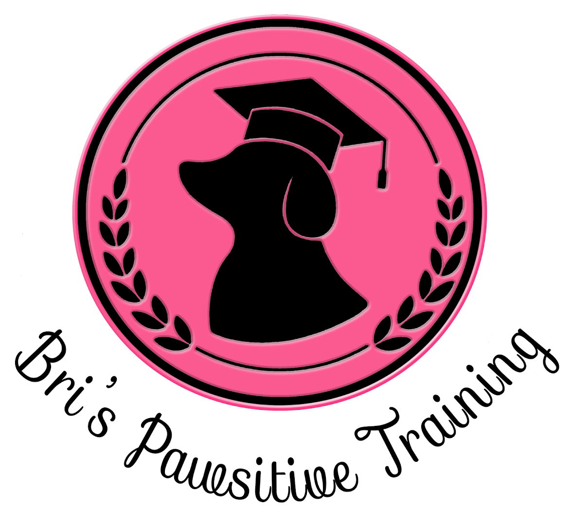 Bri's Pawsitive Training (CCDT)
