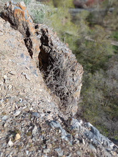 Bakery «Krispy Kreme Doughnuts», reviews and photos, 417 W University Pkwy, Orem, UT 84057, USA