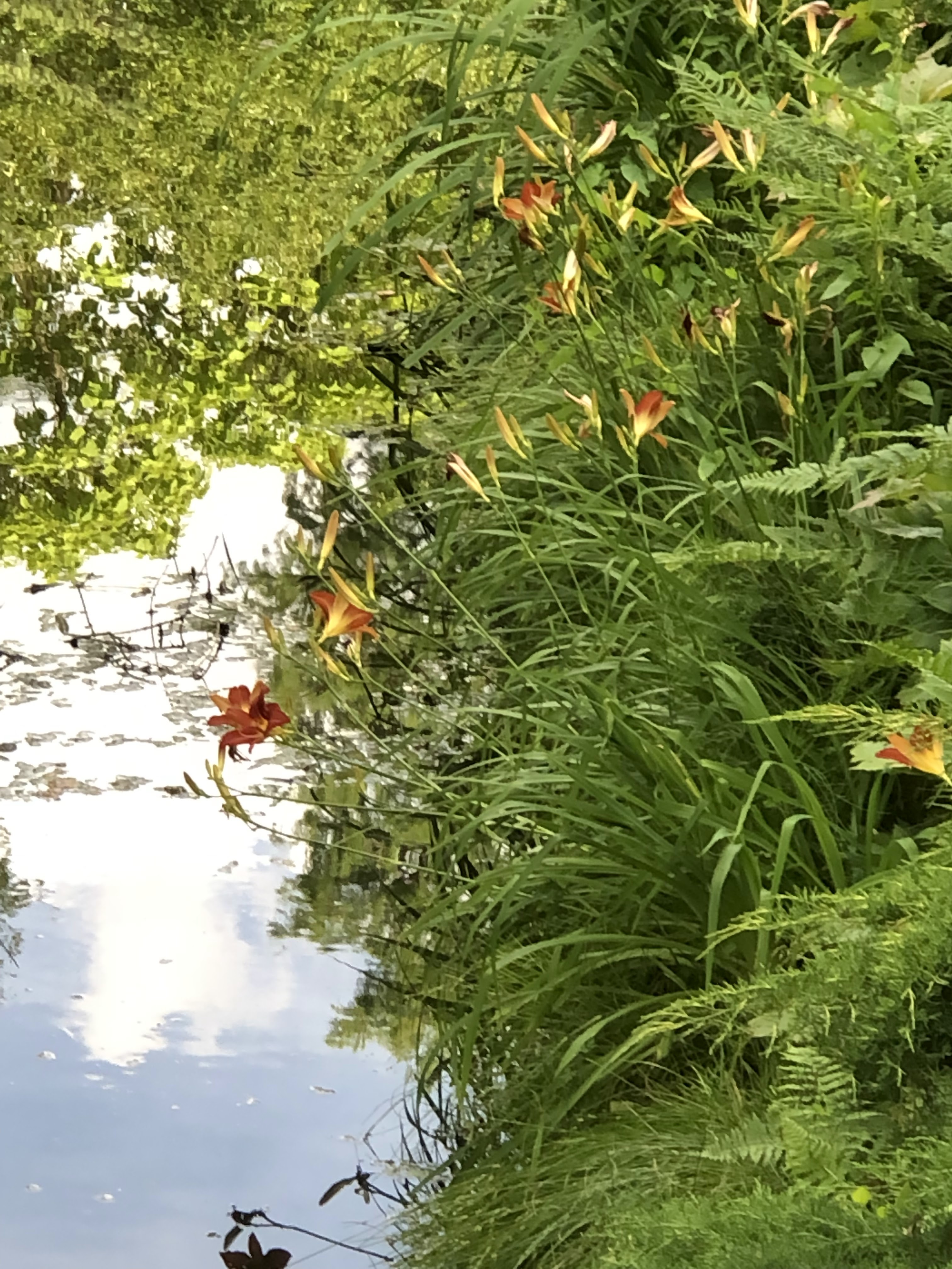 Photo n° 12 de l'avis de Denis.u fait le 18/06/2019 à 20:16