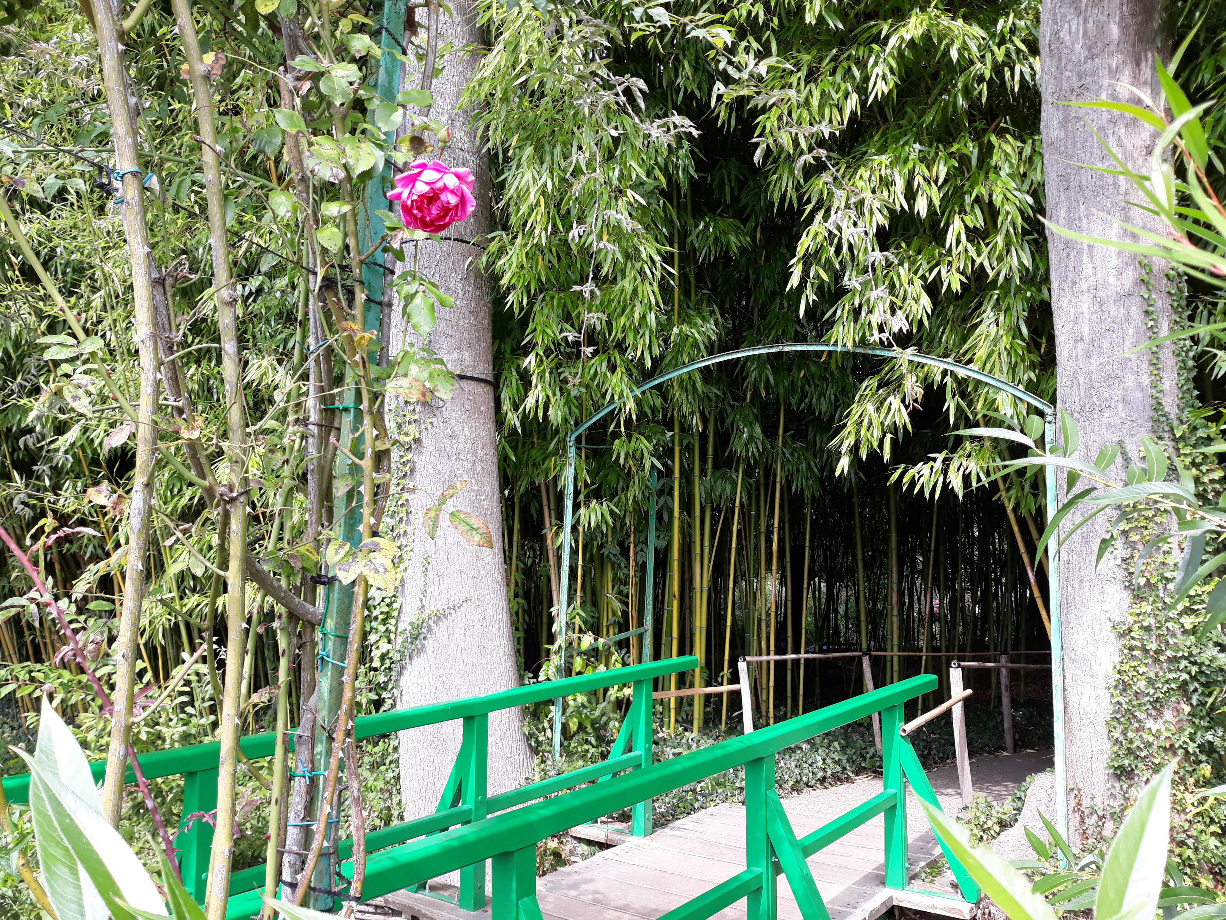 Photo n° 7 de l'avis de Zaj.h fait le 17/09/2018 à 16:50