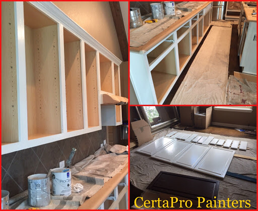 Painter «CertaPro Painters of NE San Antonio, TX», reviews and photos, 925 Landa St, New Braunfels, TX 78130, USA