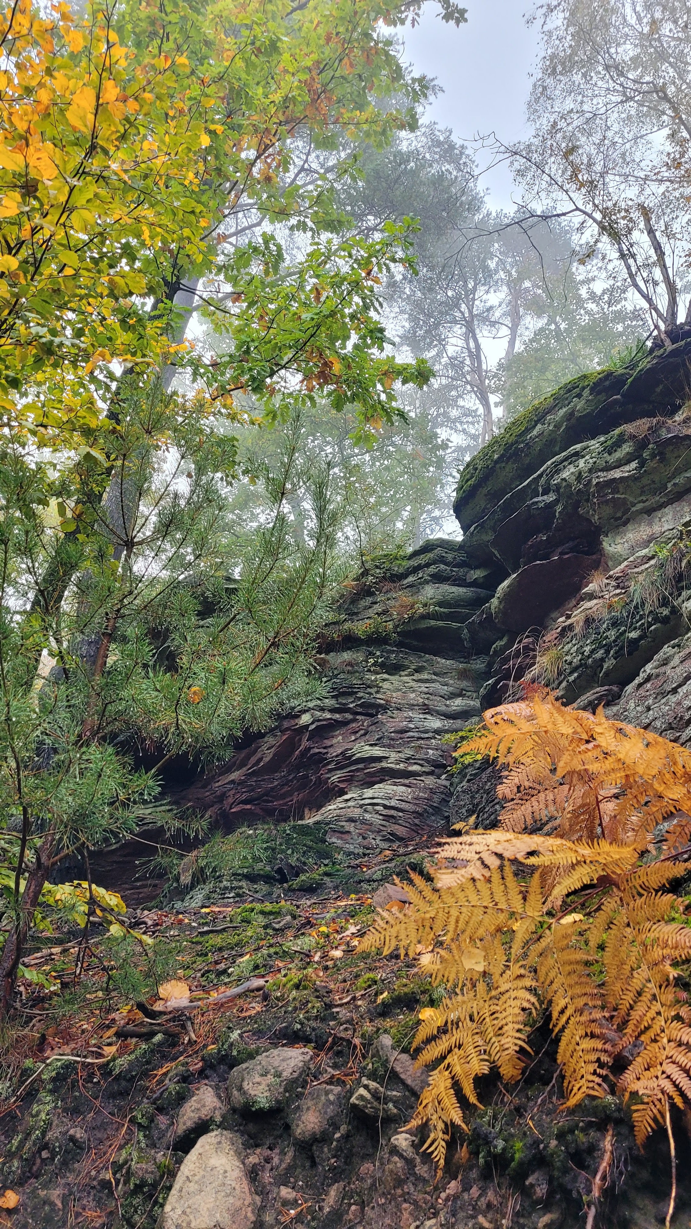 Photo n° 10 de l'avis de Verena.a fait le 31/10/2023 à 09:34