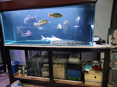 Emperor Aquatic World帝国水族馆(Seremban Aquarium shop)