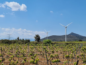 Photo n°18 de Observatoire du Littoral à Montner ()