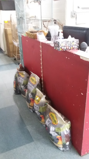 Pet Store «Birdwalk», reviews and photos, 549 Liberty St, Painesville, OH 44077, USA