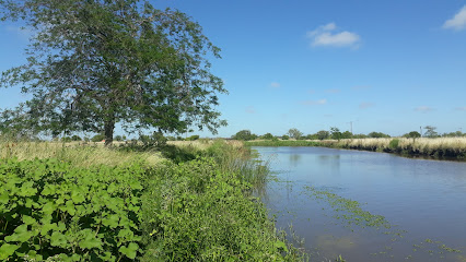 Arroyo Juan Blanco